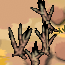 DryForest.png