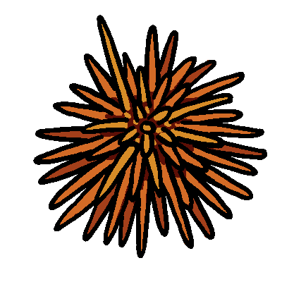 File:Obj item seaUrchin.png