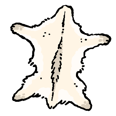 File:Obj item whiteStagPelt.png