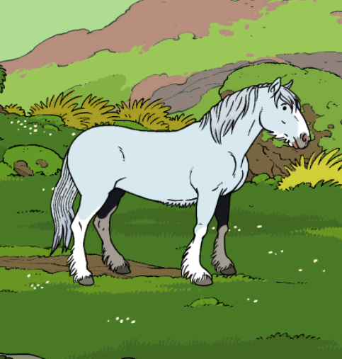 File:Horsecly.png