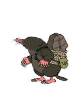 CharactersForWiki 0034 3840x2160-72.png