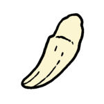 Obj icon animalTooth.png