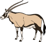 AnimalsForWiki 0014 3840x2160-85.png