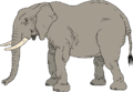 AnimalsForWiki 0030 3840x2160-22.png