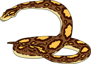 AnimalsForWiki 0023 3840x2160-34.png